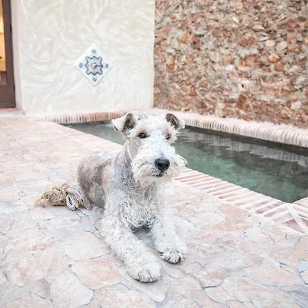 Ferienhaus Casa Rural Con Encanto-alojamiento Rural-la Casona Del Abuelo Enrique Llombai